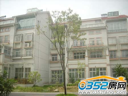 小區(qū)內(nèi)實(shí)景