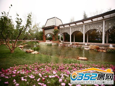 ͤ�_���w�B�Z����