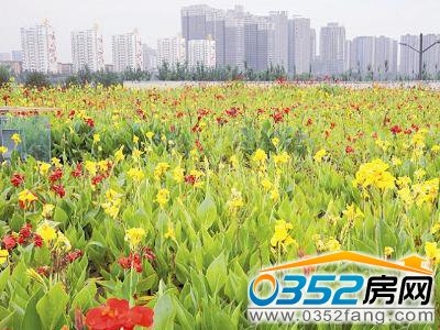 �L�L(f��ng)�̄�(w��)�^(q��)