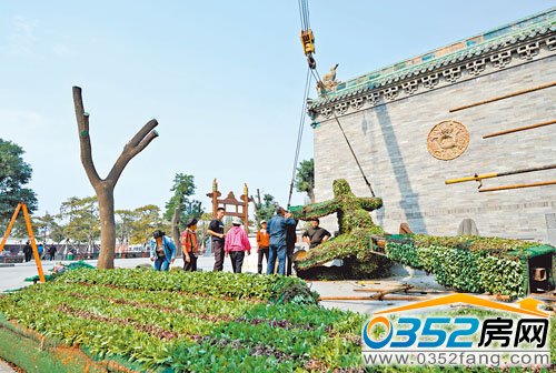 ���ص�ֲ�����