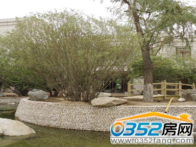 �ǱP�Ȳ����^