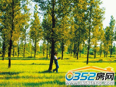 ���ƿh��ˮ����G�ⰻȻ