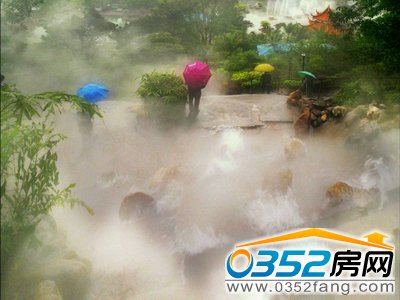 �ǱP�V��&ldquo;�F�￴��&rdquo;