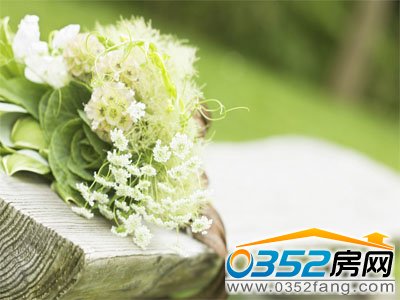 ���@��İ�ɫ��Y