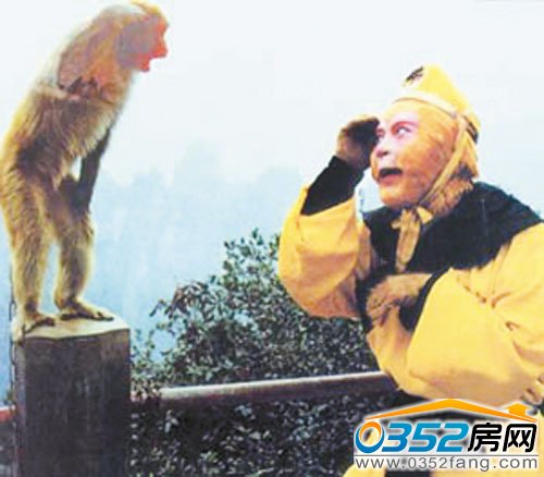 一只猴子把上妝的六小齡童當做猴王