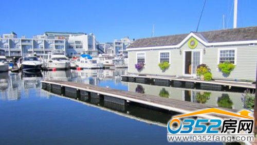 馬薩諸塞州波士頓:綠海龜浮動游艇