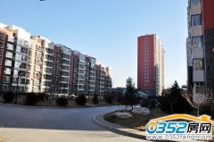 ����������̡�������g�� ׌�I����ꖹ�����