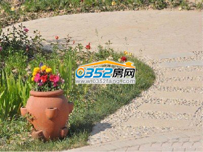 周邊環境鳥語花香