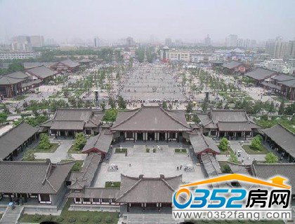 �Ŷ���������