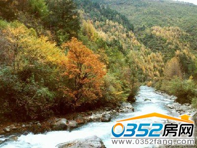 ���g����