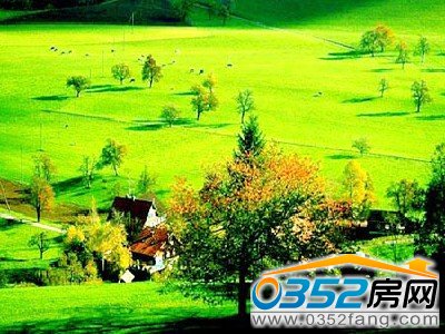 һ���o�H�ľGɫ