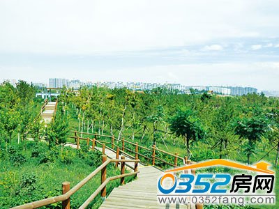 ��ͬ�箋����