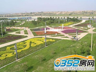 ��ͬ�г��оG������