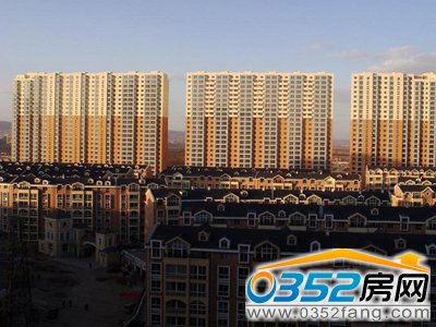 ���|�^�ǱP���O