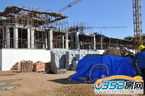 �ڽ��еĶ����Ŀ