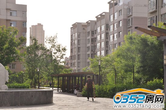 復地紫城物業,活動