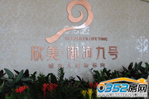 �������Ӿ�̖�Ӵ����ă�(n��i)��