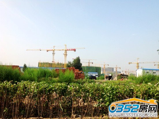 興云街在建工地綠化