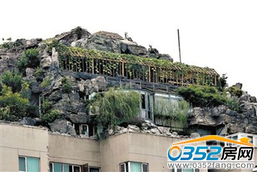 張必清別墅樓頂上方建有假山、葡萄架