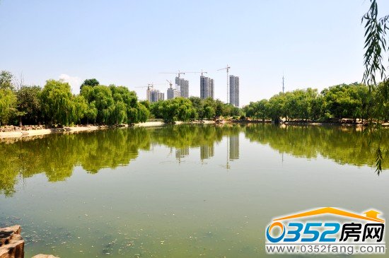 中央美域高層遠(yuǎn)觀實(shí)景圖