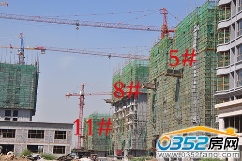 5、8號樓蓋至10層,11號樓蓋至8層