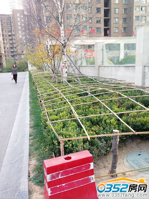 �Gɫ��ľ����&ldquo;����&rdquo;