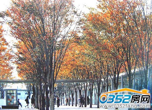 中央景觀大湖 詮釋豪宅品質生活