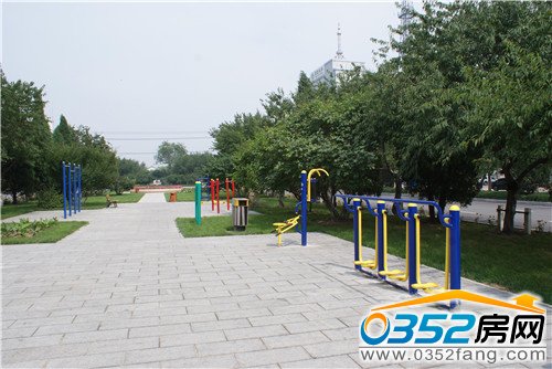 ��󼯈F�����������������һֱ���������ǰ��