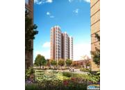 ��ܰ����Ƕ���Ч���D