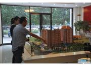 ��ܰ����Ƕ���ɳ�P�����D