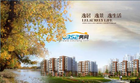 �����ݾ�Ч���D