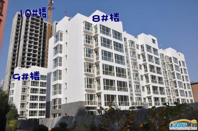 10.16����������̹��̈D