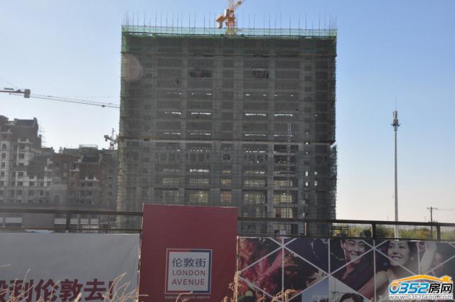 ���ؽ�10.15���̌����D