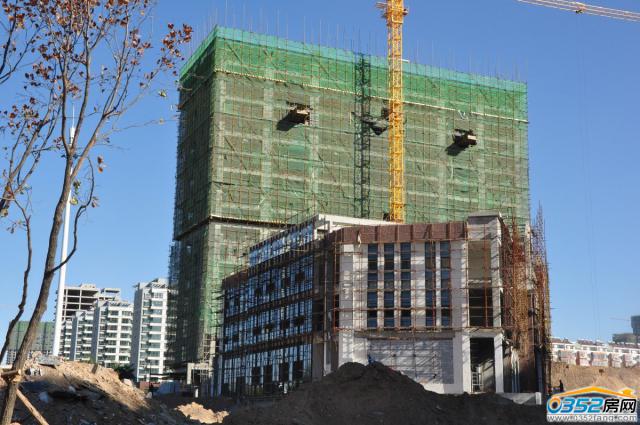 ���ؽֹ�Ԣ�����D