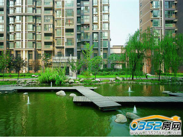 �G�����o�ǘǱPЧ���D