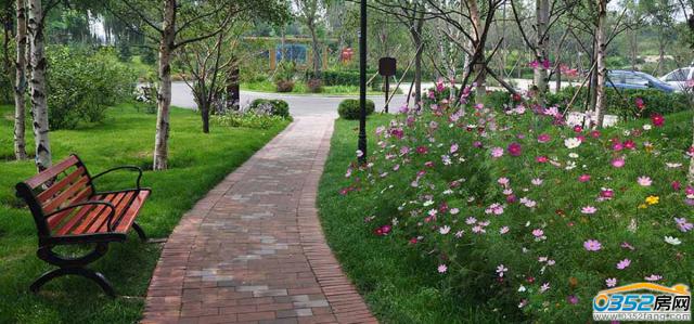 �п�����Է�@������