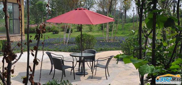 �п�����Է�@����������