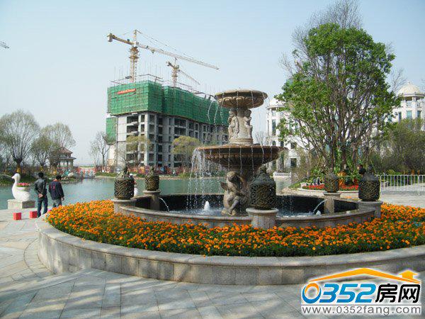 ���G�޹��̌����D