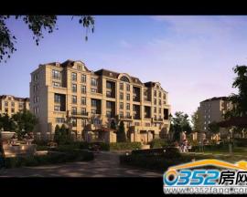 �͵ء�������