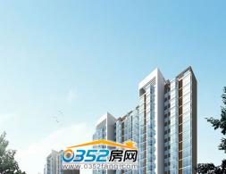 ͩ������