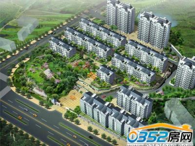 ���Q(m��o)SOHOЧ���D