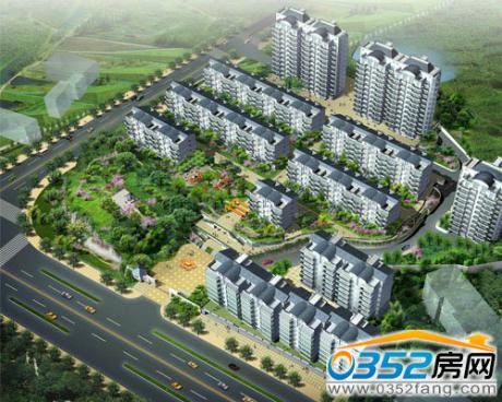 ���Q(m��o)SOHOЧ���D