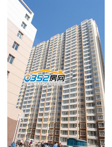 �͵��ϳǌ����D