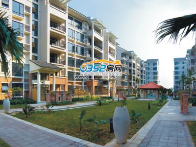 �͵��ϳ�Ч���D