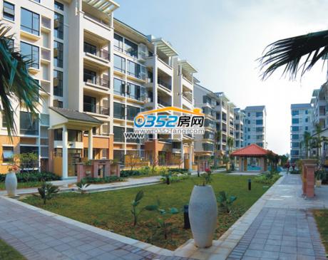 �͵��ϳ�Ч���D