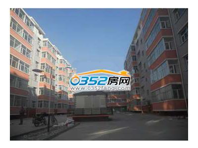 ���Է�����D