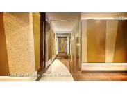 ̩�������ŷ��خa����B���e���w򞮐���L��