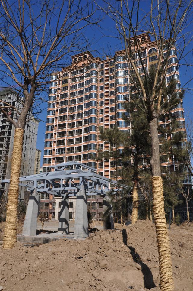 ǧ�����|����3#�h�������D��2��20�գ�