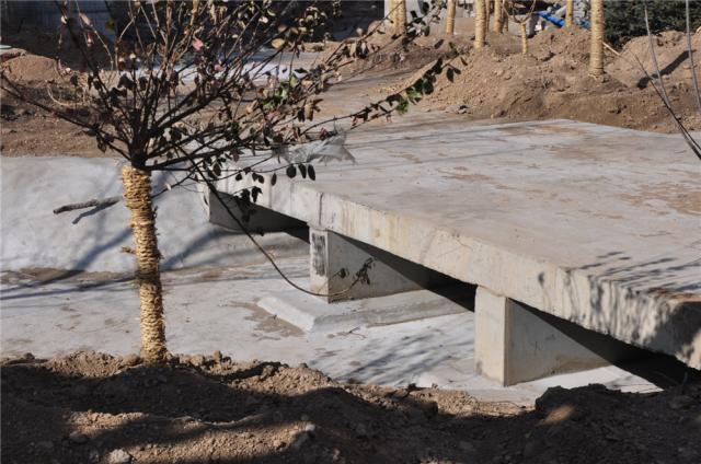 ǧ�����|����@���OӋ�����D��2��20�գ�