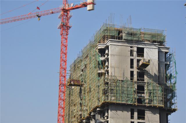 ǧ�����|����11̖�Ǽ�����플����D��2��20�գ�